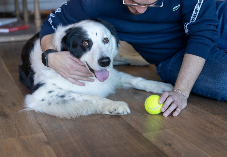 Il Parquet che Accoglie Cani e Gatti: Nessun problema!